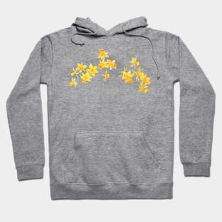 yellow daffodils field watercolor and pencil Hoodie